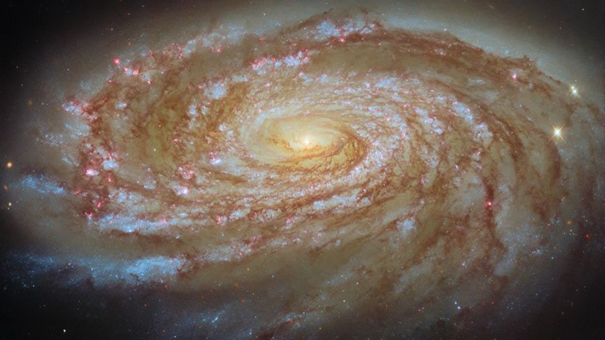 Вихреватая спиральная галактика заворожит вас | Космическое фото дня на 10 июня 2026 года